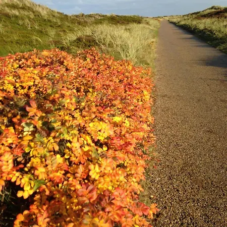 Apartmán Haus-sylter-welle-5-39-wb Westerland